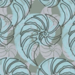 nautilus oversize