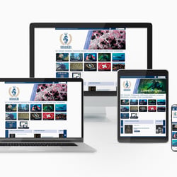 Joomla Template-Entwicklung für den Tauchverband s.u.b.