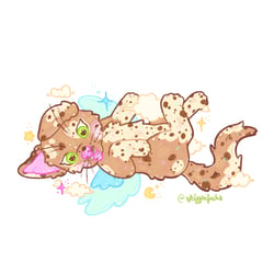 Cookie der Hund