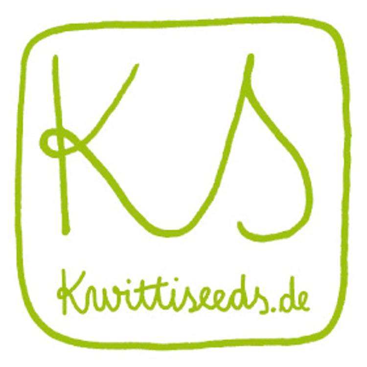 Katharina Schmidt