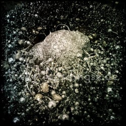 Glitzerkranz