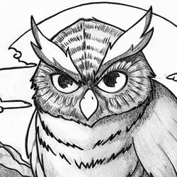 Illustration – Eule
