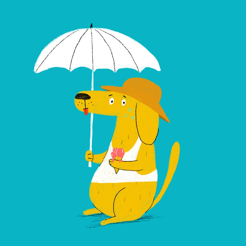 Hot Dog