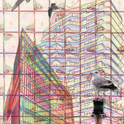 Collage Hafencity