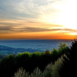 Schwarzwald