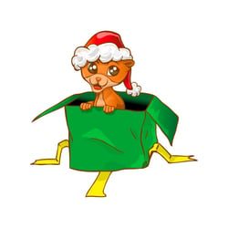 Weihnachtsfrettchen