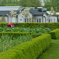Castle Garden – A fully organic garden in Malmo – Sweden – Flowers