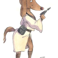 Stardog05