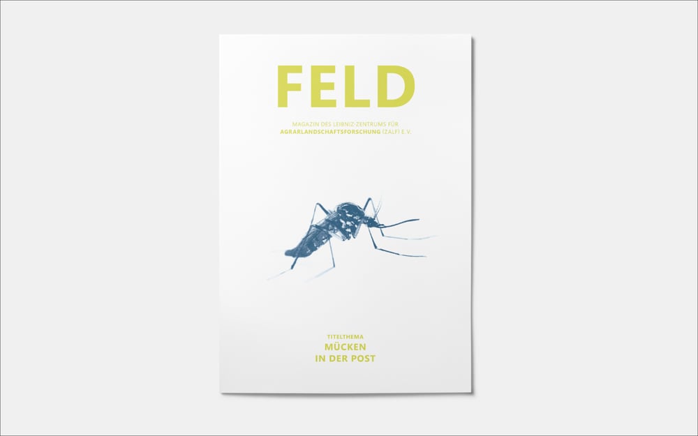 dasauge FELD10