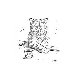 Whiskys