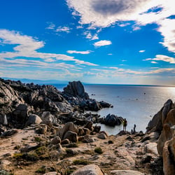 Landscape1