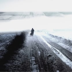 Nebelwinterlandschaft 22k