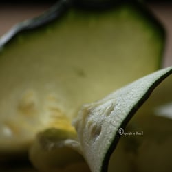 Zuchini Food Foto Übungen März 2014