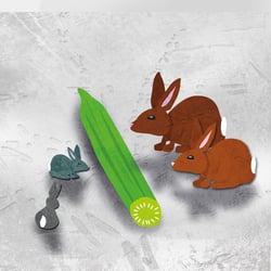 Illustration Kinderbuch