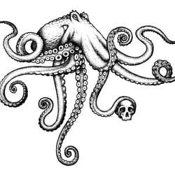Oktopus