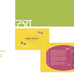 Gestaltung Web Bereich Fashion (Hairdesign)