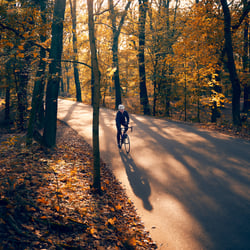 Rennrad-Fahrer-im-Wald-Arthur-Pohlit-3