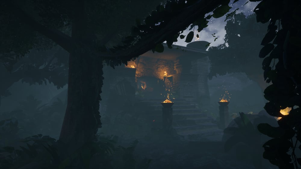 Amazonas_Forest_Shot_2