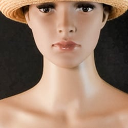 Model