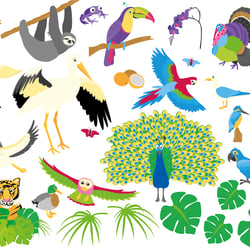 Cliparts Vögel und Regenwald