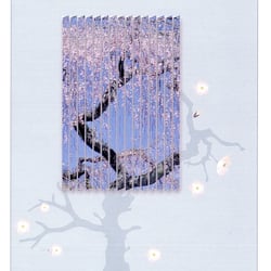 Wand und Fenster Design