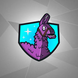 Mascot Entwurf