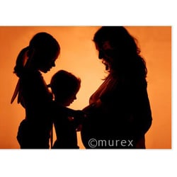 murex12