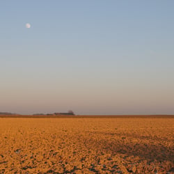 090109 1037mond auer