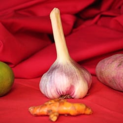 Food Photography 2012