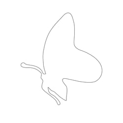 Illustration Schmetterling