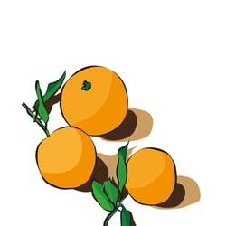Orangen Zeichenfläche 1
