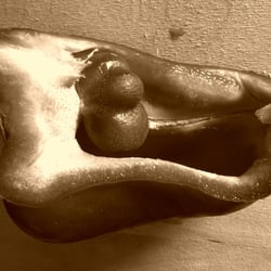 Food Fotografie 2012 Paprika in Sepia Aufnahme No 01