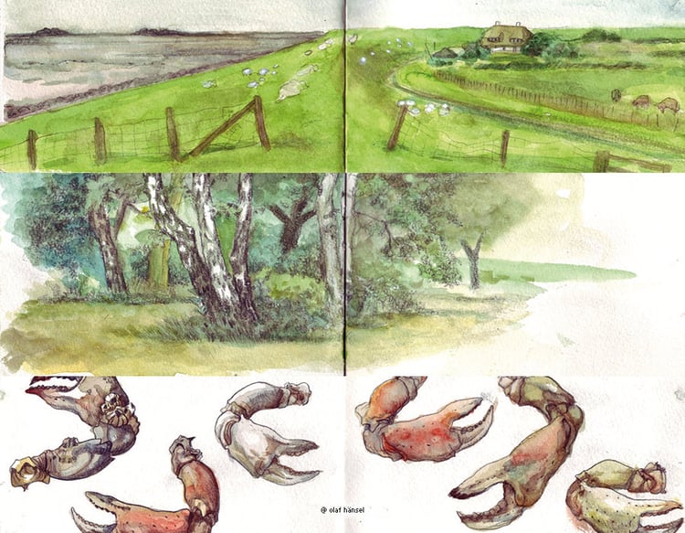 Skizzen / Studien / Aquarell
