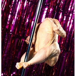chickenweb edited