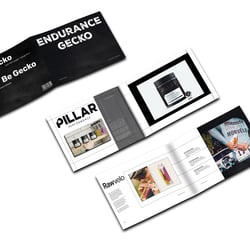 Booklet Endurance Gecko