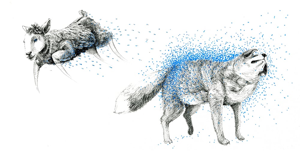 Sich Schüttelnder Fuchs