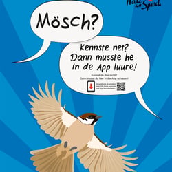 Plakat 1