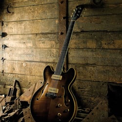 Bluesbird