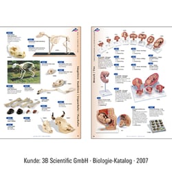 3B Scientific-1