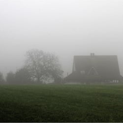 Morgennebel