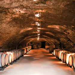 Food – Meine Weinlese in Frankreich