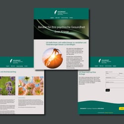 www.svenkriese-gesundheit.de