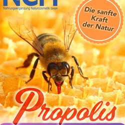 Titel Newsletter