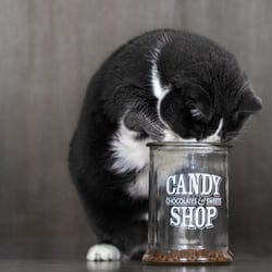 CandyShop