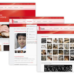 Webdesign | ION – Internationale Orgelwoche Nürnberg 2012 | www.ion-musica-sacra.de/