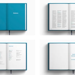 Buch – Deutschlands neue Agenda 11