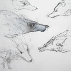 Wolf-Concept