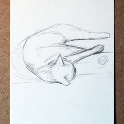 Dösende Katze