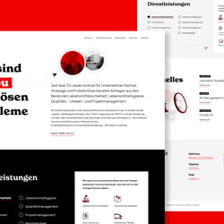 Corporate Website
