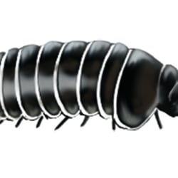 käfer2